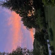 Le Maine du Buisson 28/06/2024