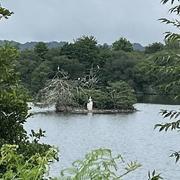 Mazerolles 02/07/2024