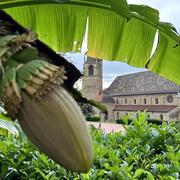 La Bénisson-Dieu 04/07/2024