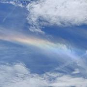 Faverolles 06/07/2024