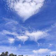 Faverolles 06/07/2024