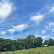 Faverolles 06/07/2024