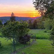 Saint-Marcel 07/07/2024