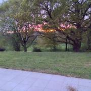 Saint-Marcel 07/07/2024