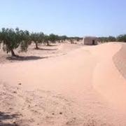 Médenine 25/09/2010