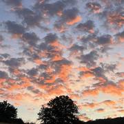 Rougemont 10/07/2024