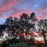 Fontaine-la-Louvet 10/07/2024