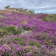 Perros-Guirec 11/07/2024