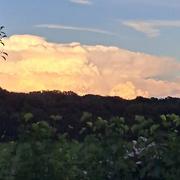 Mazerolles-le-Salin 11/07/2024