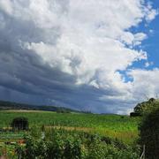 Mazerolles-le-Salin 12/07/2024