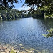 Altenweiler 15/07/2024