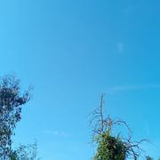 Blaincourt-lès-Précy 17/07/2024