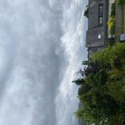 Bois-Guillaume 23/07/2024