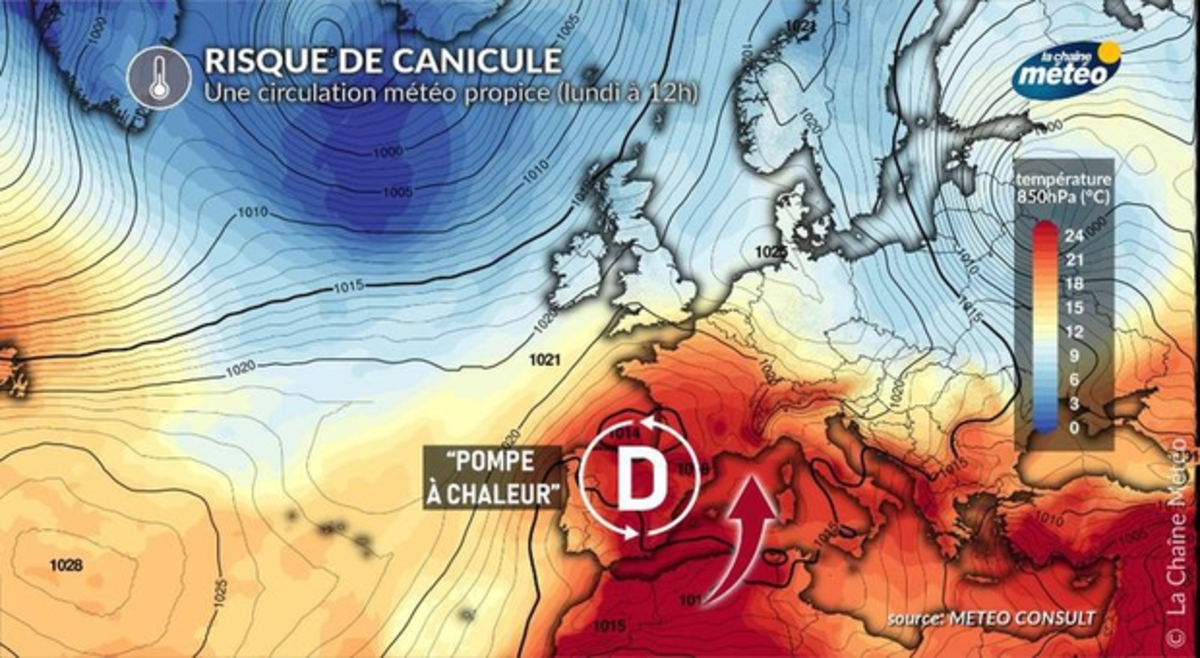 Vague de chaleur et canicule : quelle intensité, durée et régions les plus touchées ?