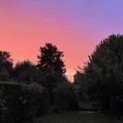 Bois-le-Roi 28/07/2024