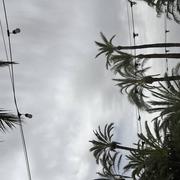 La Portalada 30/07/2024