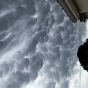 Proissans 30/07/2024