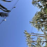 La Portalada 31/07/2024