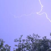 Le Plessis-Robinson 01/08/2024