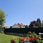 Bethoncourt 02/08/2024