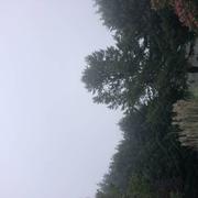 Saint-Cyr-les-Champagnes 03/08/2024