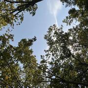 Ghisonaccia 03/08/2024