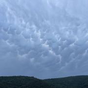 Arles-sur-Tech 05/08/2024