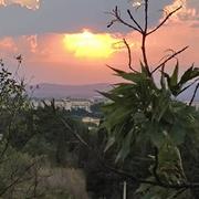 Perpignan 07/08/2024