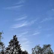 Saint-Benoît 08/08/2024