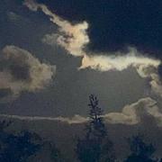 Saint-Trojan-les-Bains 13/08/2024