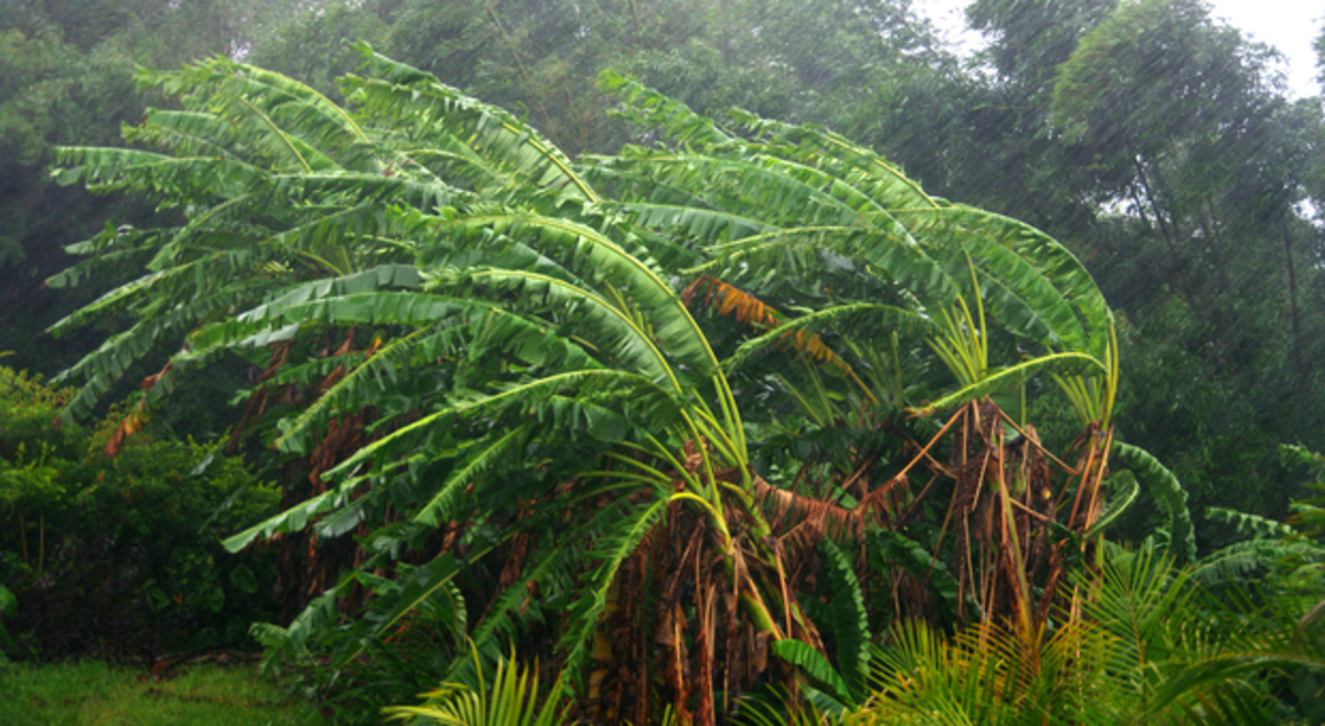 Ernesto : la tempête tropicale touche de plein fouet la Guadeloupe