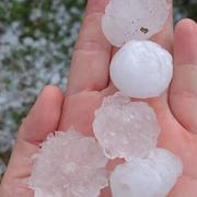 Bellegarde-sur-Valserine 13/08/2024