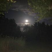 L'Isle-sur-la-Sorgue 18/08/2024