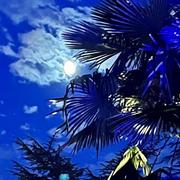 Saint-Bernard 20/08/2024