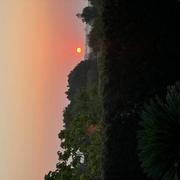 Petit-Palais-et-Cornemps 24/08/2024