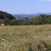 Sainte-Fortunade 25/08/2024