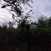 Pont-l'Évêque 25/08/2024