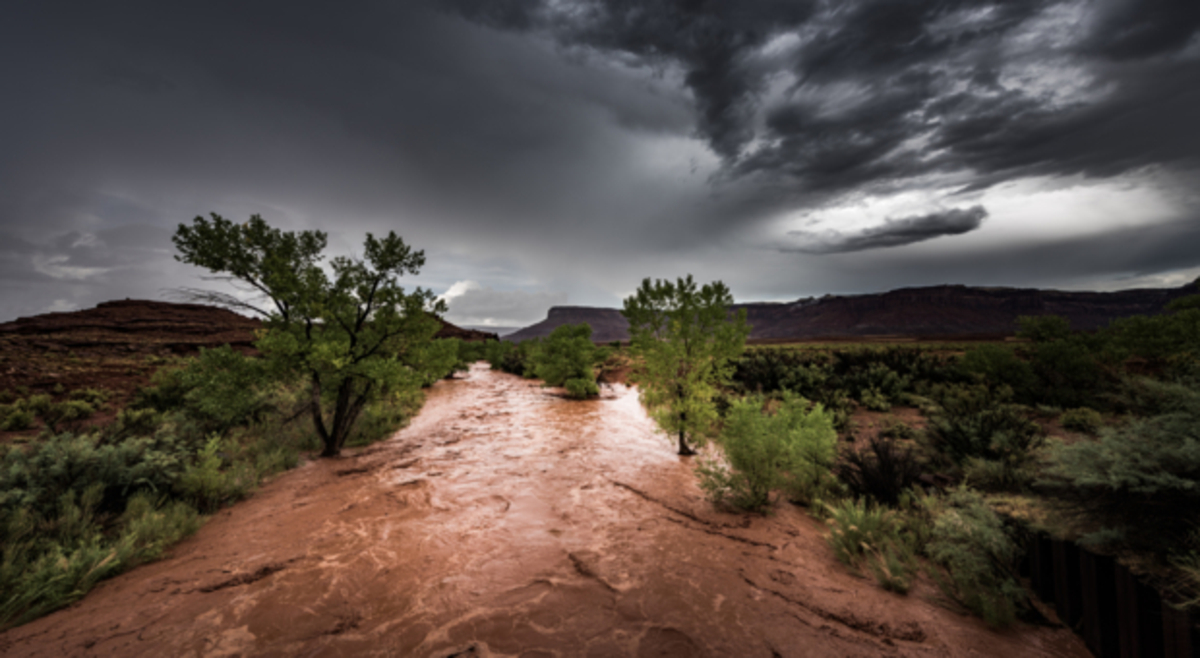 A rare rain episode in the Sahara: up to 5 months of rainfall is expected