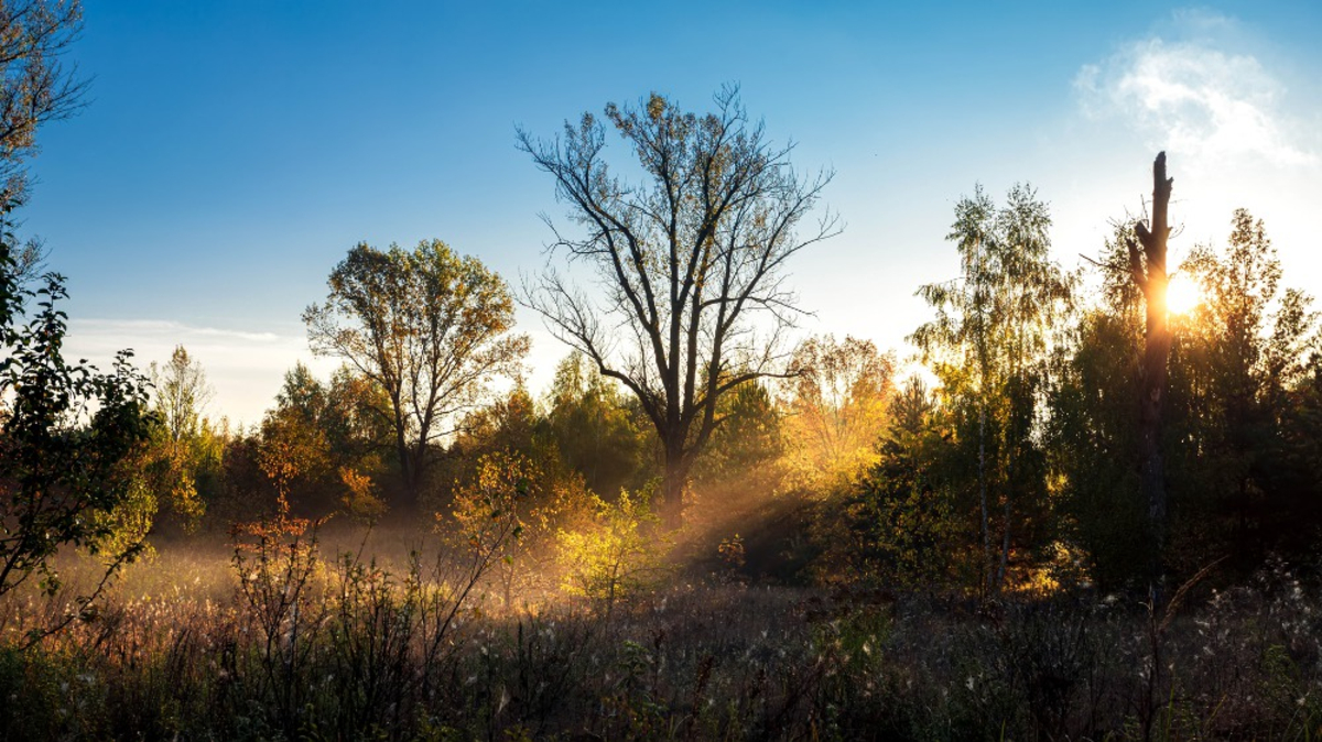 Durée du jour, épisodes méditerranéens, brouillard…ce qui change en septembre