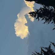 Germigny-l'Évêque 30/08/2024