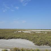 Domaine de la Capelière 31/08/2024