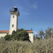 Étang de Vaccarès (Bouches-du-Rhône) 31/08/2024