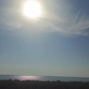 Étang de Vaccarès (Bouches-du-Rhône) 31/08/2024