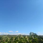 Montpezat 09/09/2024