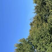 Le Bourg Neuf de Bas 17/09/2024