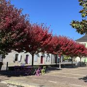 Méritein 24/09/2024