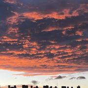 Villeurbanne 26/09/2024