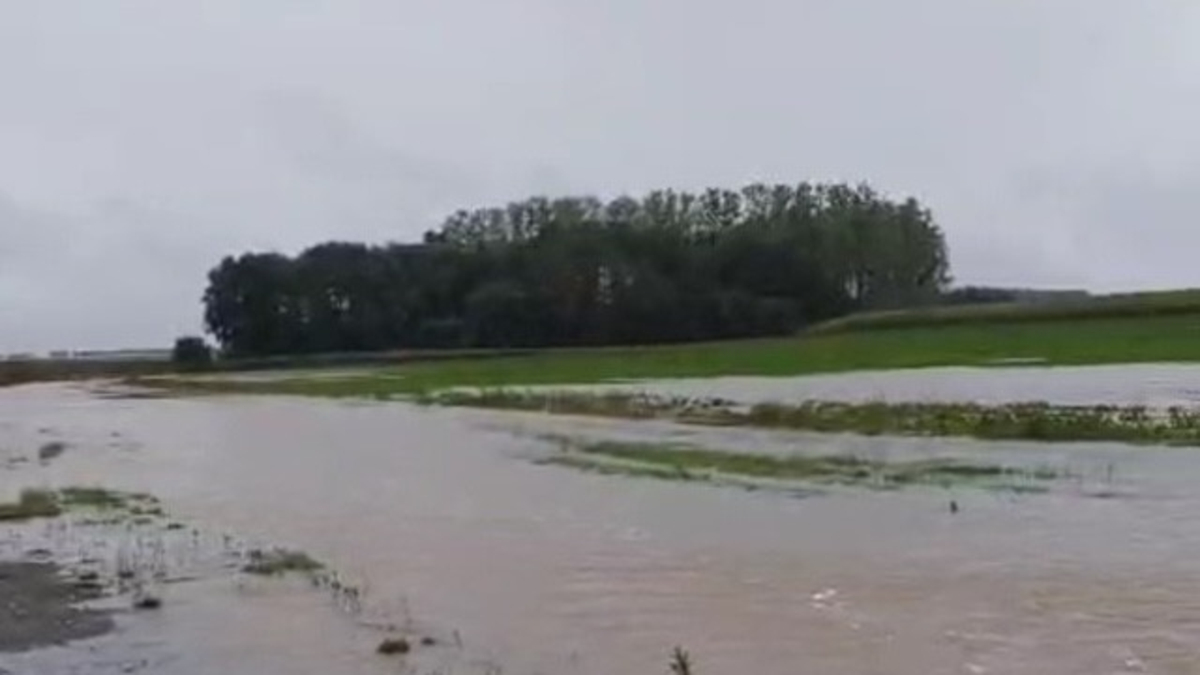 Pluies à répétition : un début d'automne très compliqué pour l'agriculture