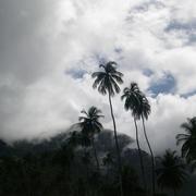 Port of Spain 05/10/2010