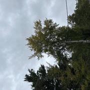 Buno-Bonnevaux 07/10/2024